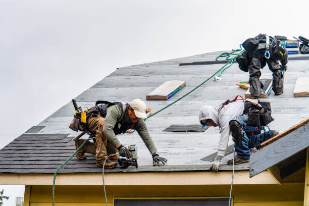 Professional Gutter Installation technician working in Placerville, CA